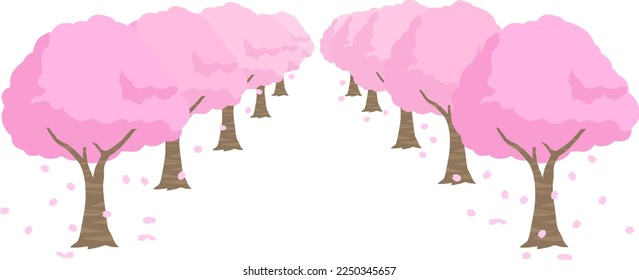 Spring background material with cherry blossom tree avenue