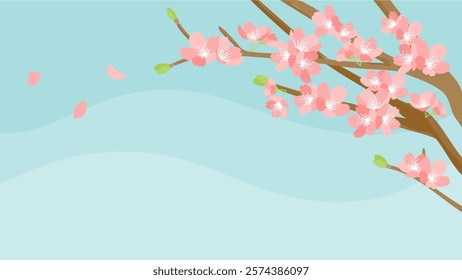 Spring background material: refreshing image of blue sky and cherry blossoms