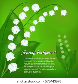 Spring background with may-lily