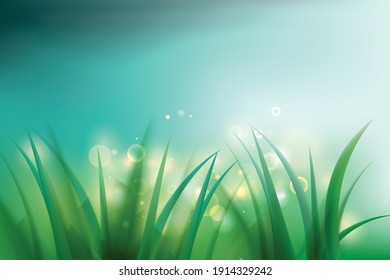 Spring background with morning light