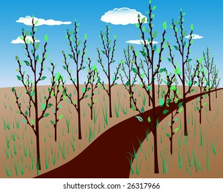 Spring background. Nature landscape after sleep.