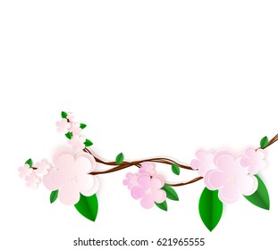 Spring background on white background. Branch with fresh Flowers of apple.