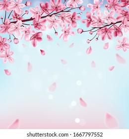 Spring background with pink flowering cherry branch and blue sky. Sakura blossom. Vector illustration.
