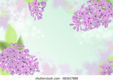 Spring background with pink and purple flowers of lilac. Can be used for background, wallpaper, greeting card web banner.