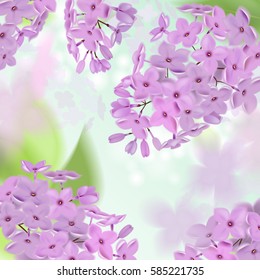 Spring background with pink and purple flowers of lilac. Can be used for background, wallpaper, greeting card web banner.