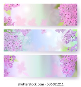 Spring background with pink and purple flowers of lilac. Can be used for background, wallpaper, greeting card, web. Vector horizontal banner. EPS10