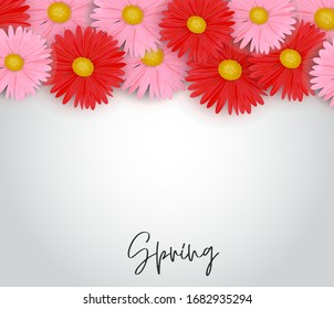 Spring background with pink and red daisy flowers. Vector illustration.