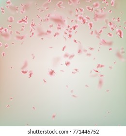Spring background with pink Sakura petals. And also includes EPS 10 vector