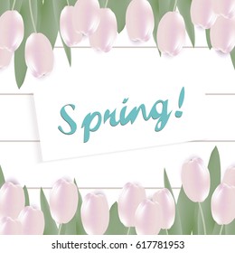  Spring background with pink tulips and text.  Elegant design template for card.  Vector illustration Eps 10