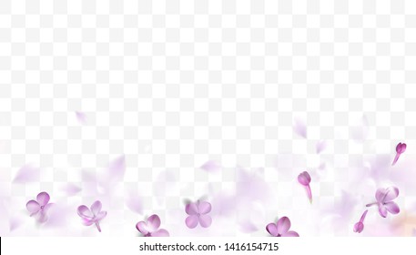 spring background with purple blurred flower petals and leaves vector illustration