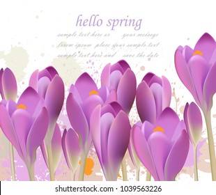Spring background with purple tulips Vector. Watercolor flowers. Lovely greeting colorful paint splash illustrations