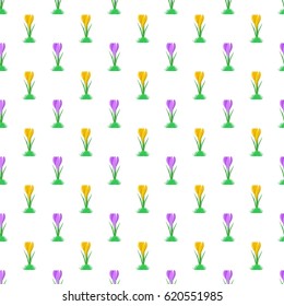 Spring background with spring purple and yellow crocuses in a row alternately side by side and below them the green grass on a white background. Floral color natural texture 