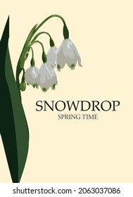 Spring background with realistic snowdrops. Banner, flyer, brochure. For holidays, postcards, website, advertising, sale, etc.