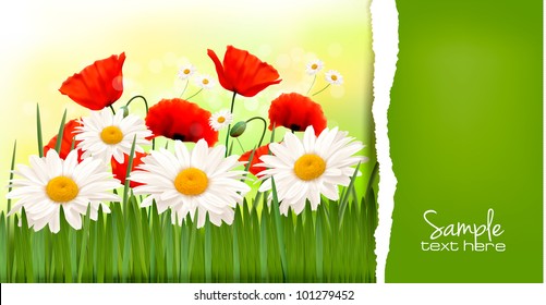 Spring background with red poppies and daisies. Vector