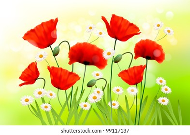 Spring background with red poppies and daisies. Vector