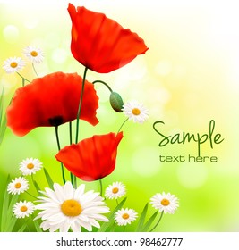 Spring background with red poppy and daisy. Vector