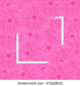 Spring background with red rose flowers and white frame. For greeting, invitation cards to birthday, Womens Day, wallpaper