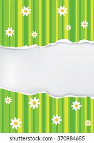 Spring background ripped paper. Illustration of green ripped paper with abstract spring meadow. Vector available. 