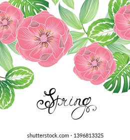 Spring background with rose flowers.