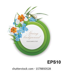 Spring background. Round template with Bouquet of Narcissus and foget-me-not. Vector illustration
