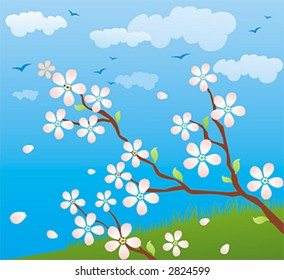 Spring background with sakura in bloom