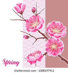 Spring background with sakura or cherry blossom. Floral japanese ornament of blooming flowers.