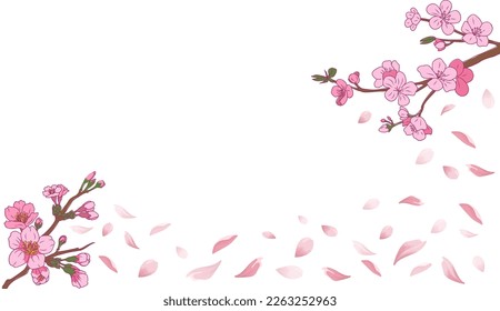 Spring background Sakura Cherry blossom vector art