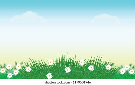 Spring background - sky, grass, daisies - vector art illustration