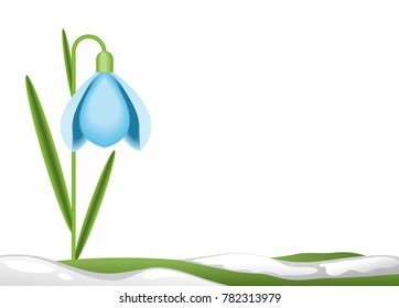 Spring Background. Snowdrop Flower, melting snow. Spring landscape. Vector illustration.