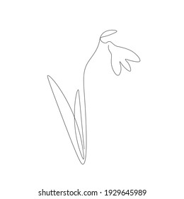 Spring background with snowdrop flower, vector illustration