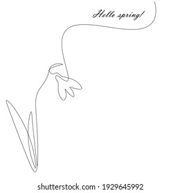 Spring background with snowdrop flower, vector illustration