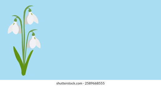 Spring background with snowdrops. Design concept for the protection of the environment, the arrival of spring. Vector illustration