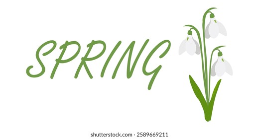 Spring background with snowdrops. Design concept for the protection of the environment, Earth Day, the arrival of spring. Vector illustration