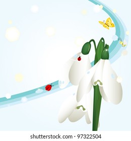 spring background with snowdrops illustration