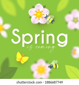 Spring background with soft flowers, bees and butterflies. Spring is coming design with apple and cherry blossom branch.