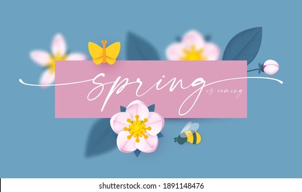 Fondo primaveral con flores blandas, abejas y mariposas. La primavera viene diseño con una rama de manzana y flor de cerezo.