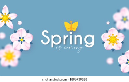 Spring background with soft flowers, bees and butterflies. Spring is coming design with apple and cherry blossom branch.