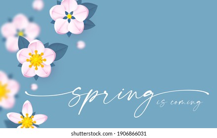 Spring background with soft flowers, bees and butterflies. Spring is coming design with apple and cherry blossom branch.
