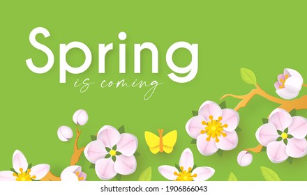 Spring background with soft flowers, bees and butterflies. Spring is coming design with apple and cherry blossom branch.