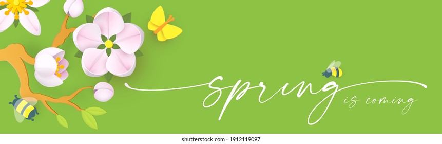Spring background with soft flowers, bees and butterflies. Spring is coming design with apple and cherry blossom branch.