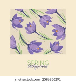 Spring Background With Square Frame Of Crocuses First Flowers Template for social media, greeting card for Mother's Day, March 8. Vector