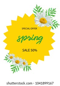 Spring background template with beautiful camomiles and dandelion. Spring big hunt or sale banner lettering with Colorful flowers. Vector illustration