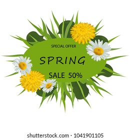 Spring background template with beautiful camomiles and dandelion. Spring big hunt or sale banner lettering with Colorful flowers. Vector illustration