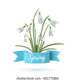 Spring background template. Snowdrop flowers with blue ribbon isolated on white. Spring flowers. Spring bouquet. Vector illustration
