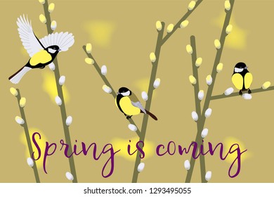 Spring background with tomtits and branches of willow