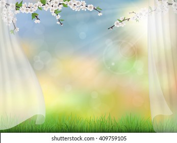 Spring background with transparent curtains glare of the sun and blooming tree branches.