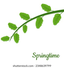 Spring background with tree twig vector illustration
