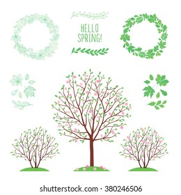 Spring background with trees. Set of images with leaves of different trees. Sketch, design elements. Vector illustration.