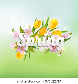Spring Background - with Tulips and Cherry Tree Flowers - in vector