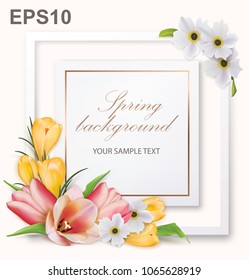 Spring background with tulips, crocuses, anemones and frame. Vector illustration 